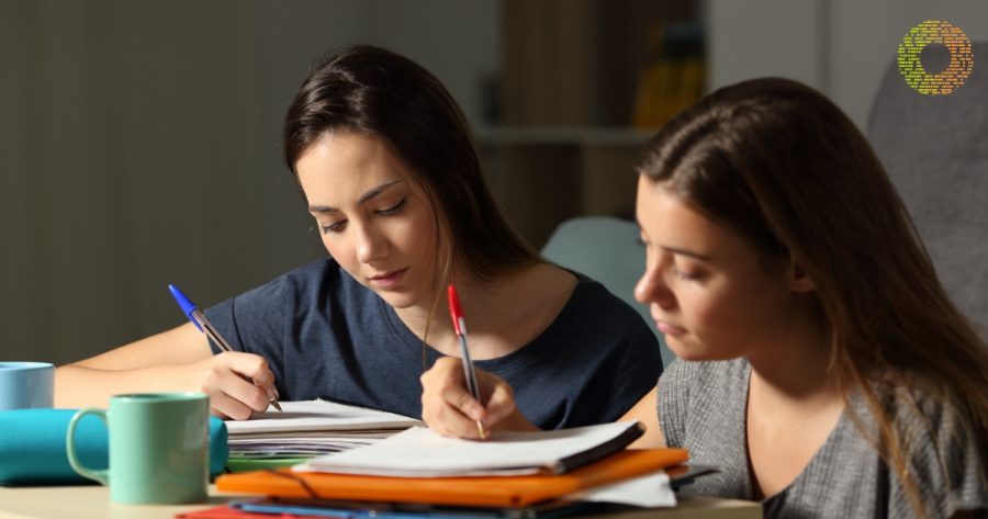 Why schools should not give homework picture