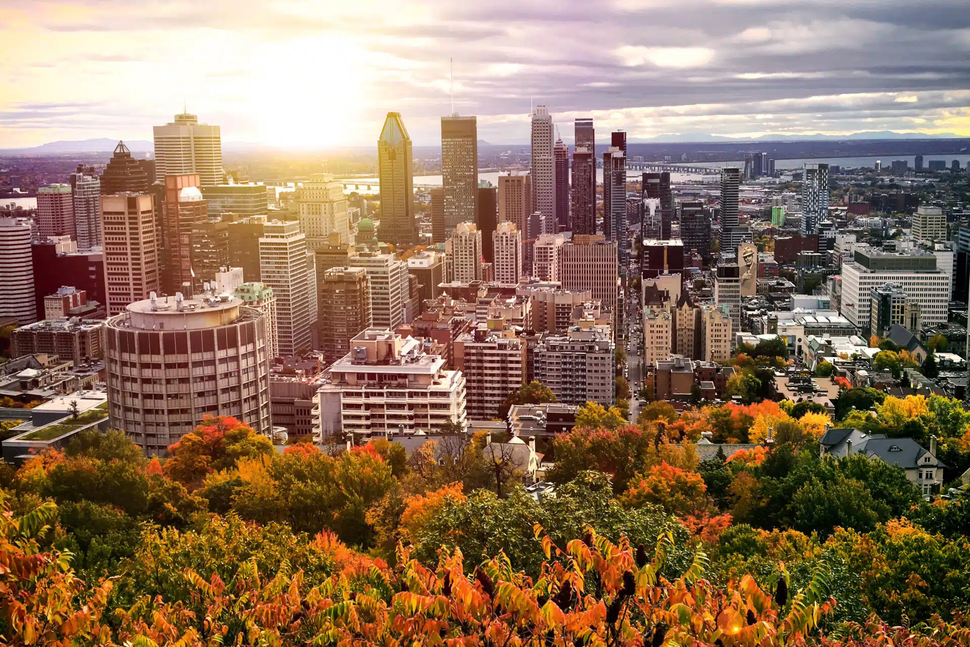 TEFL Courses in Montreal