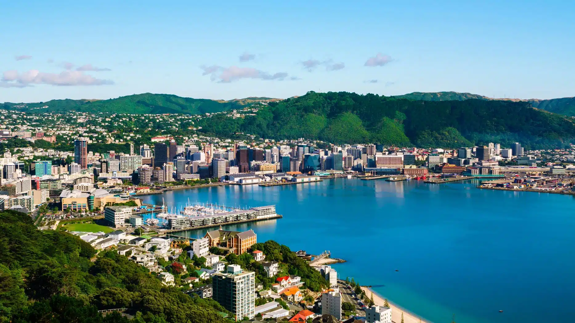 TEFL Courses in Wellington