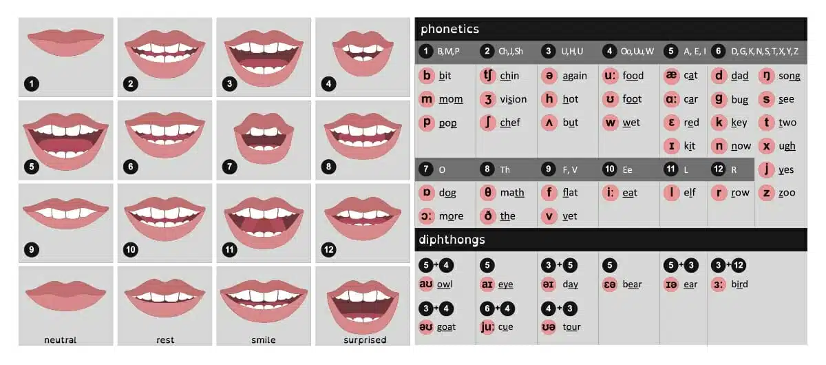 International Phonetic Alphabet chart