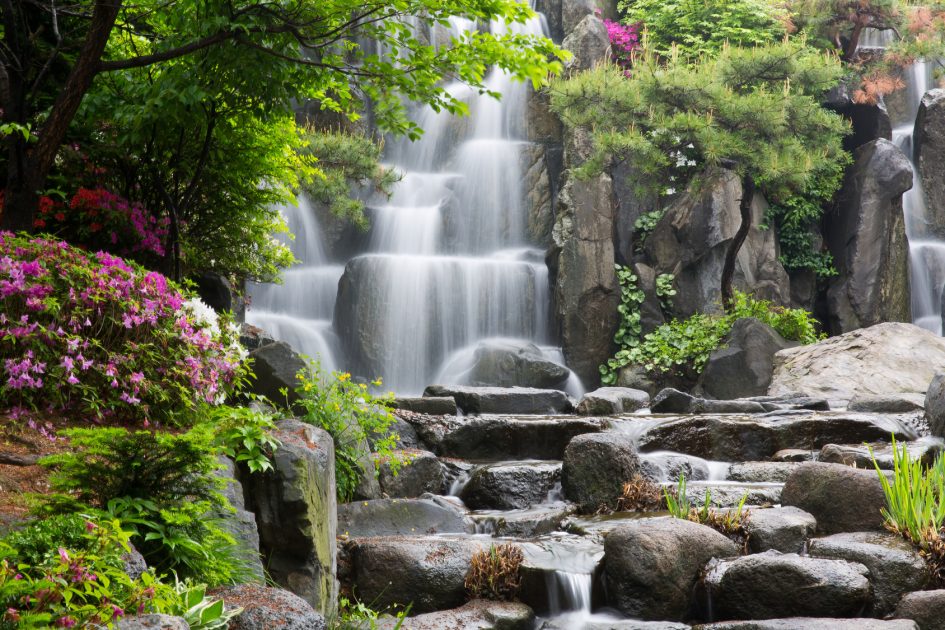 Fall in love in South Korea