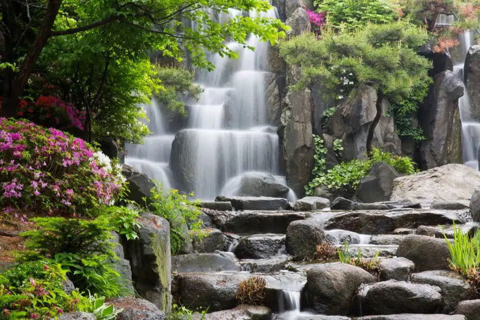 Fall in love in South Korea