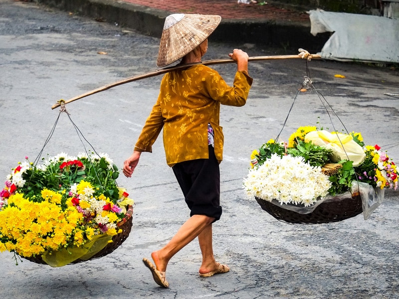 why vietnam is so special to go to