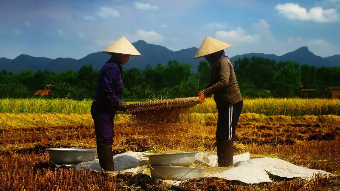 What you should be doing in Vietnam, discover the unique culture and traditions