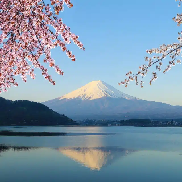 teaching English in Japan