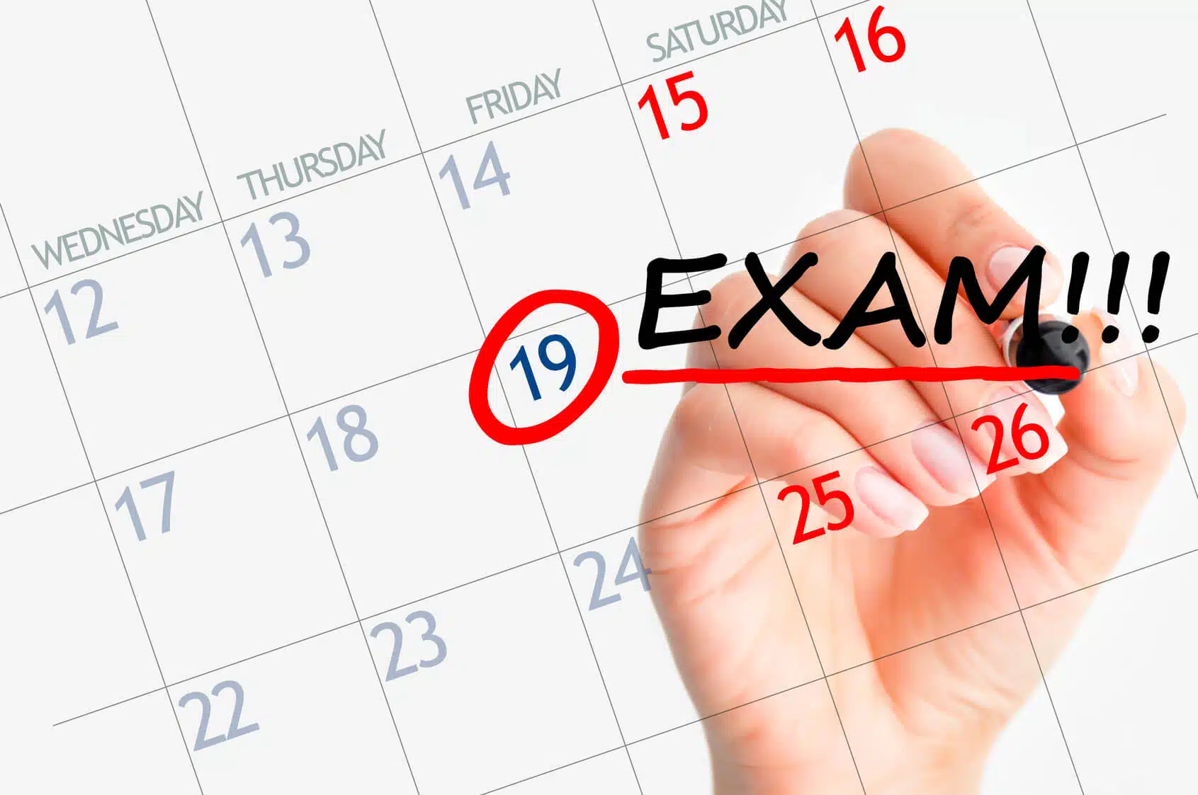 What Is IELTS?