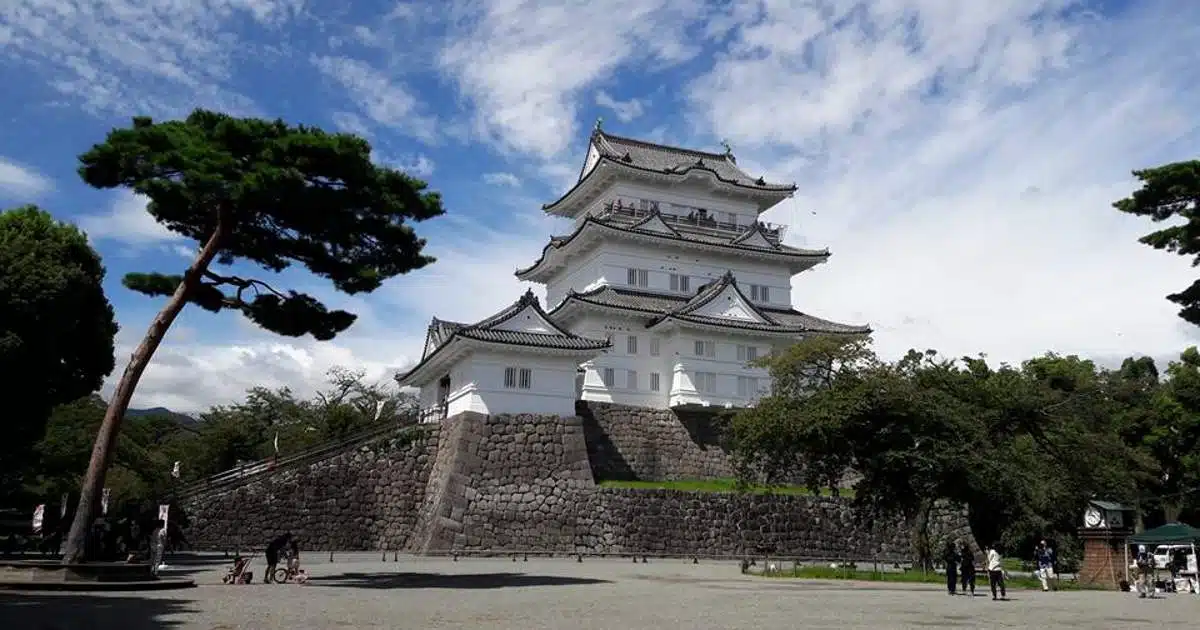 Xanath Y Jimenez Garcia