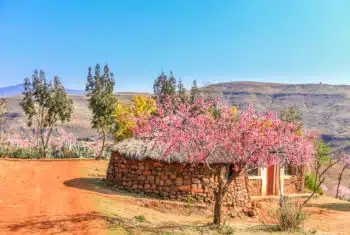 AdobeStock 202827424