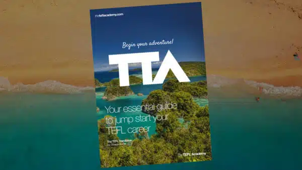 Front cover of The TEFL Handbook