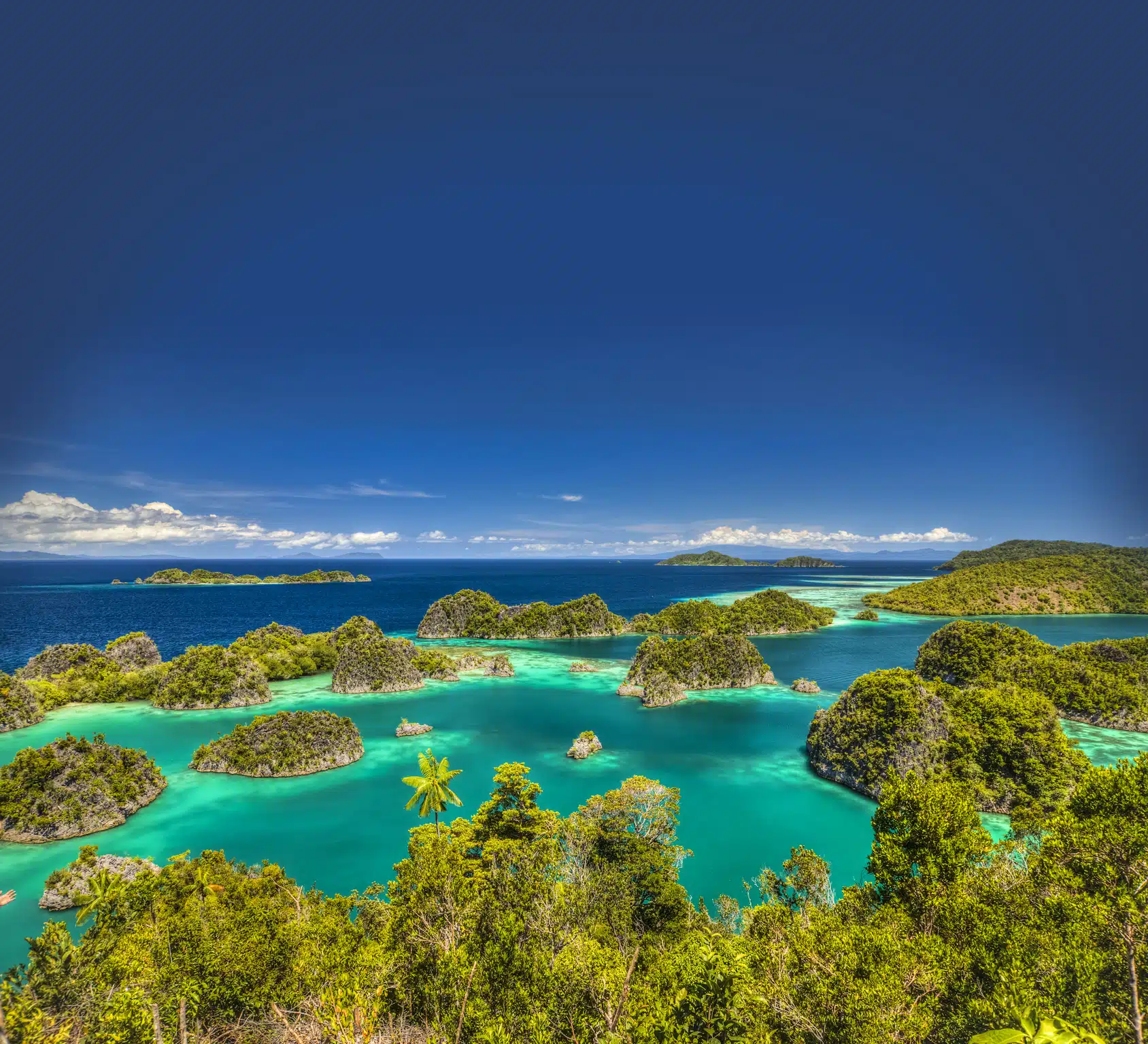 Certificate Verification