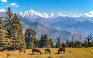 A view of horses in a small town