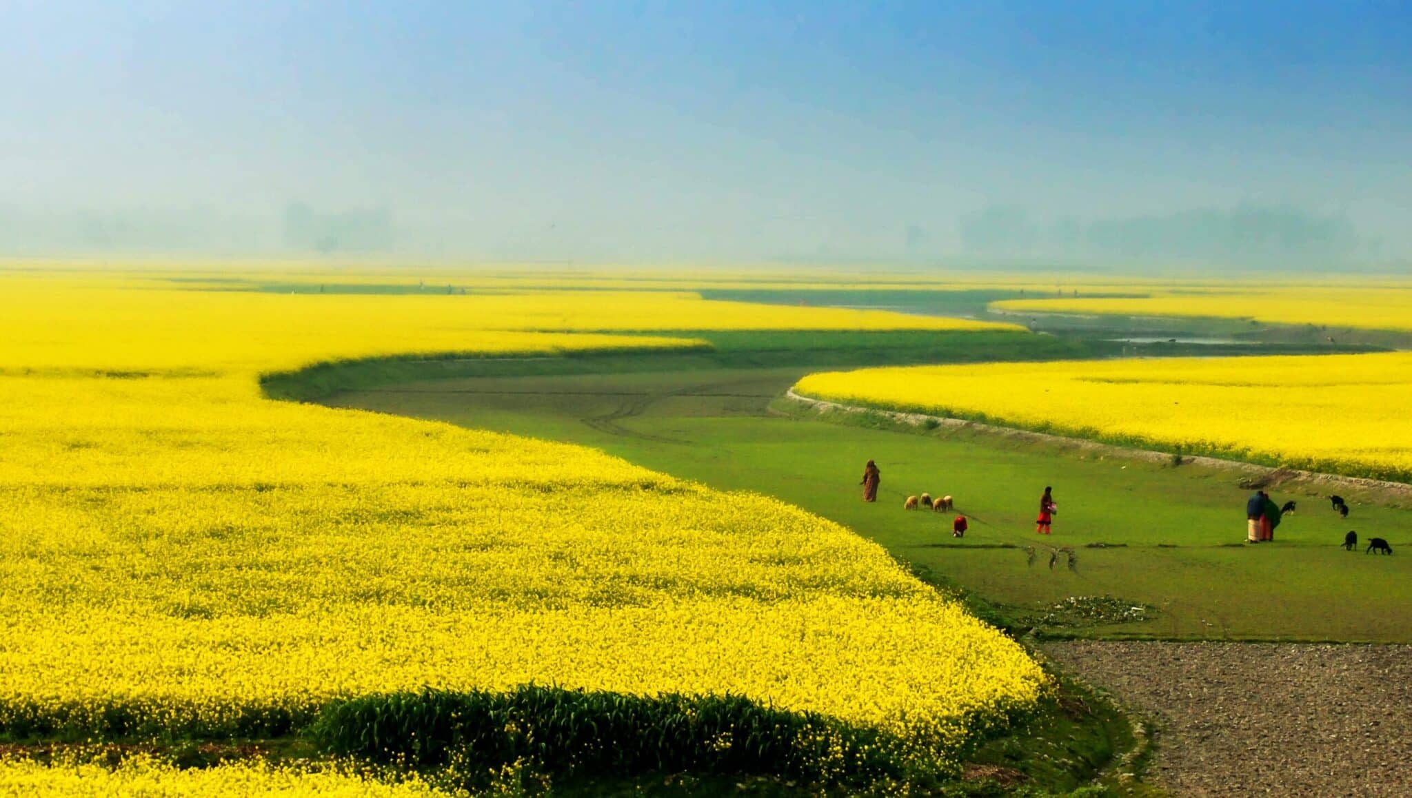 salary-china-the-tefl-academy