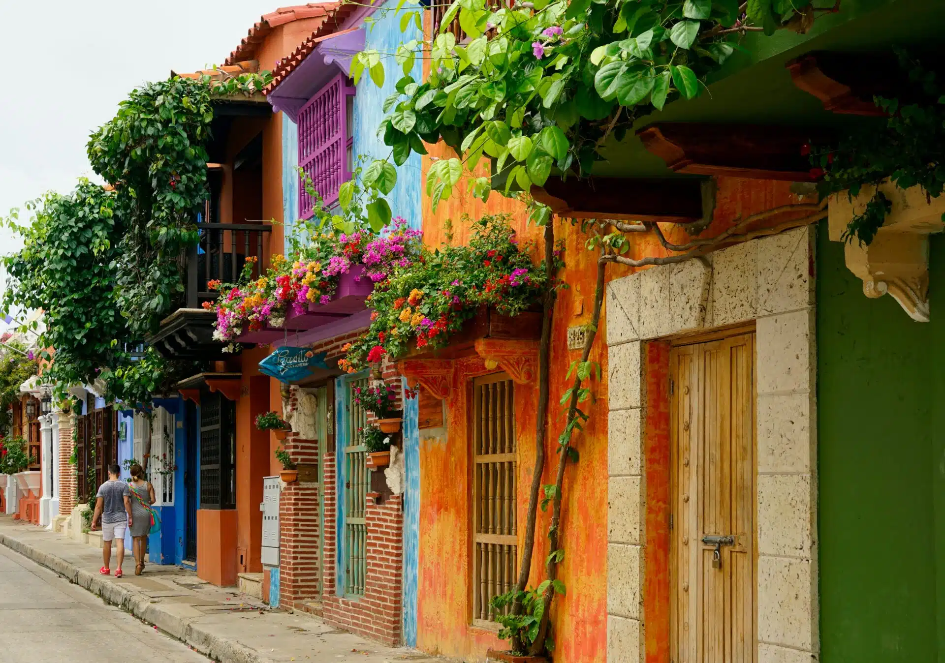 teach english colombia