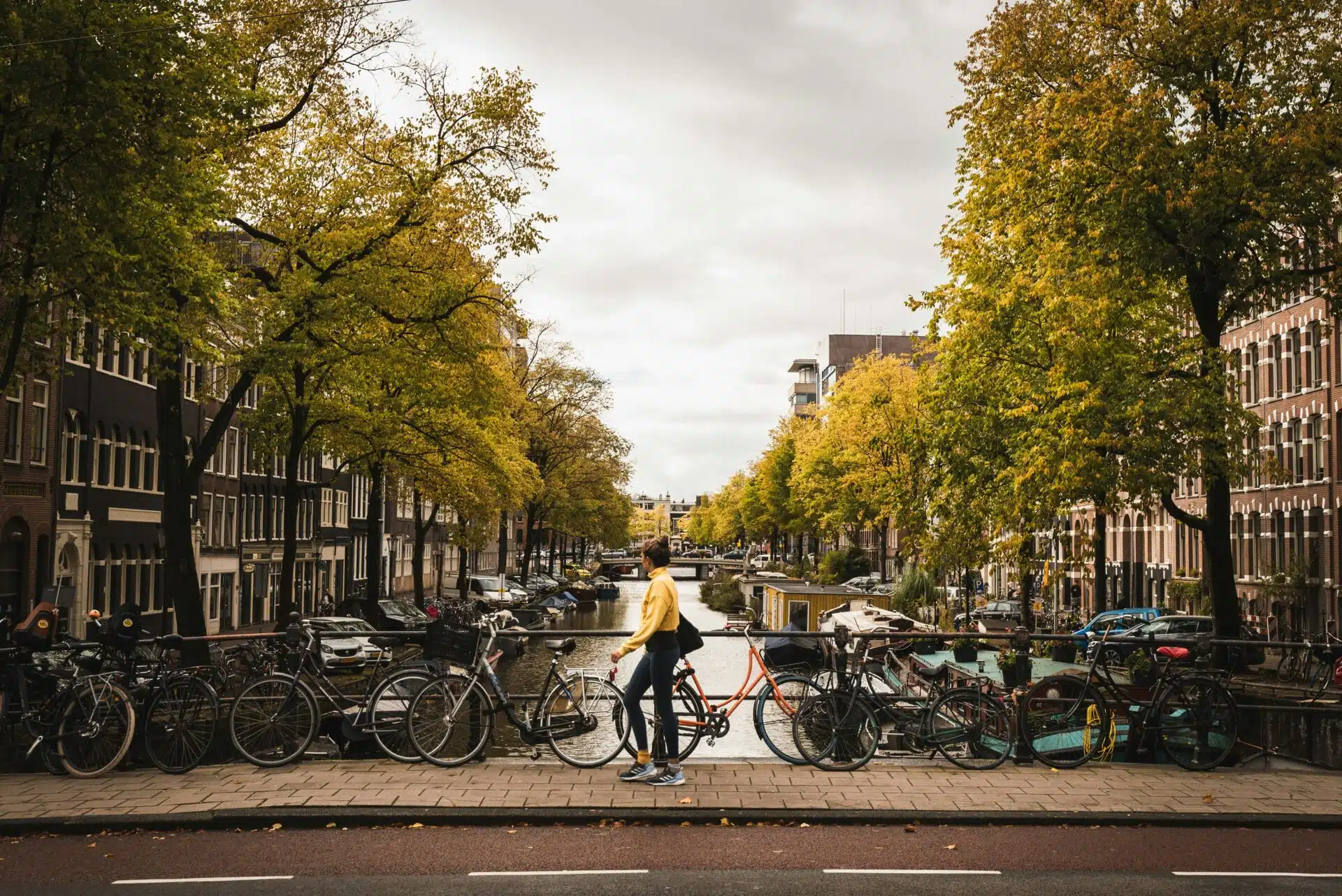 teach english netherlands