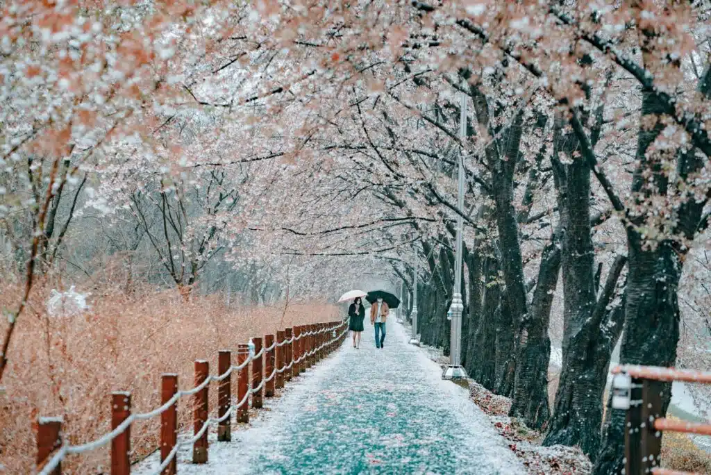 teach english in seoul