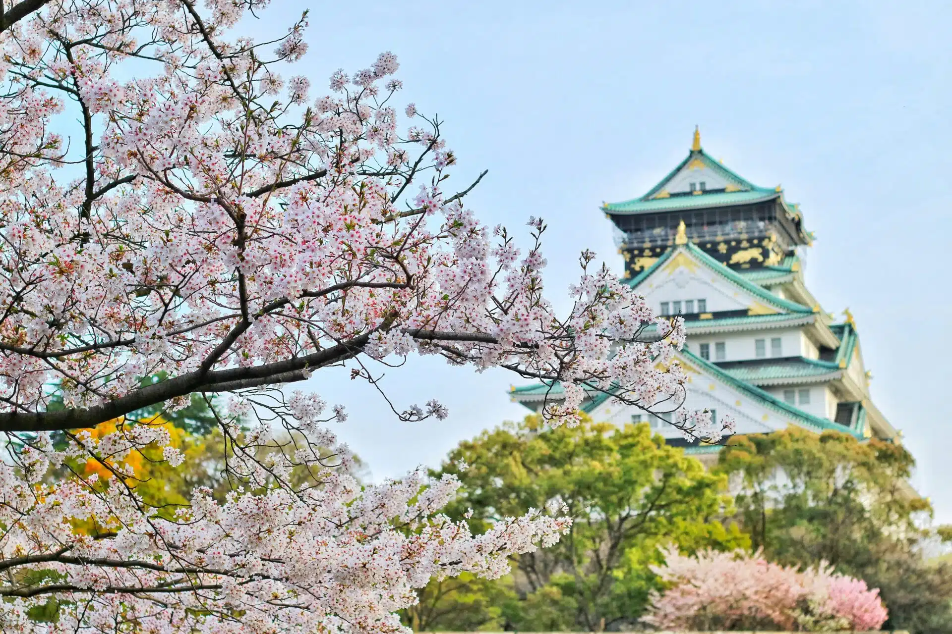 4 Ways To Work & Live In Japan As A Foreigner