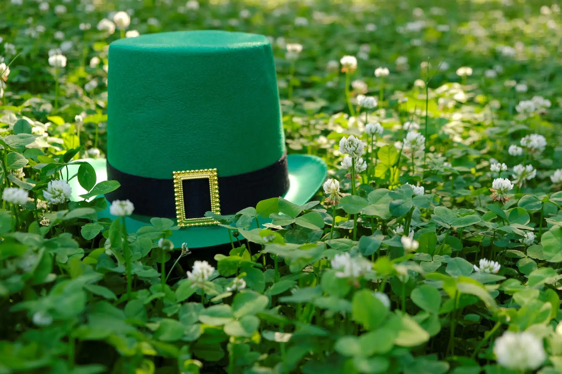 Green leprechaun hat in green clover to signify the Irish traditional spring holiday of St Patrick's Day