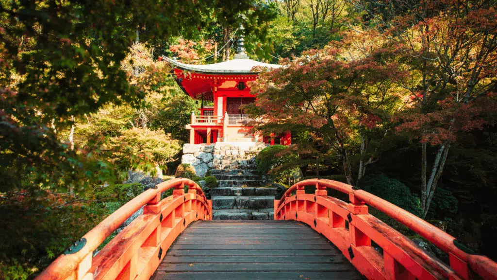 teaching adults in japan