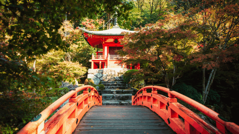 teaching adults in japan