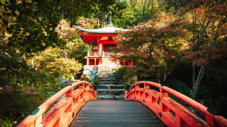 teaching adults in japan