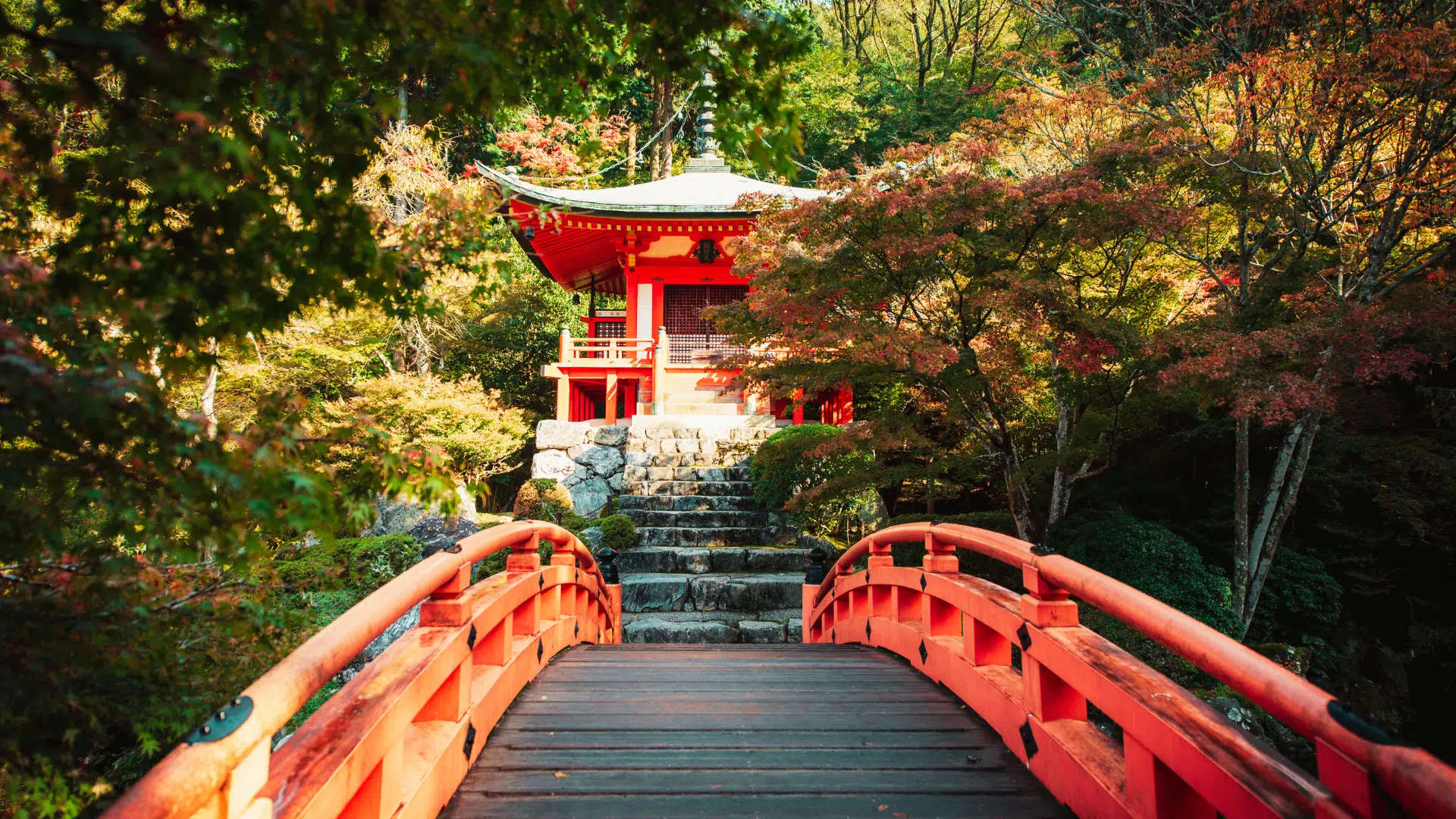 Teaching Adults In Japan: Tips From A Teacher