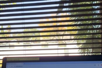 Online teacher Natalie's view from her laptop into her garden