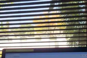 Online teacher Natalie's view from her laptop into her garden