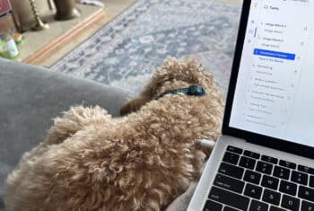 A laptop and a dog