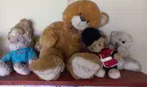 Teddies