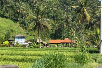 A street in Bali