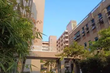 China Wikus