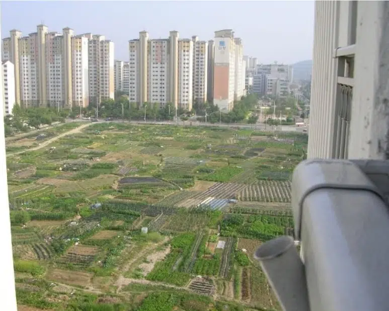 view from apartment