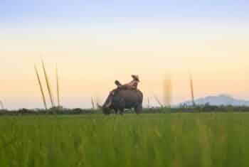 teaching teens in vietnam