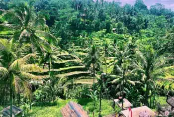 A Bali landscape