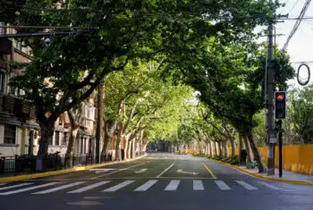 AdobeStock 838906551