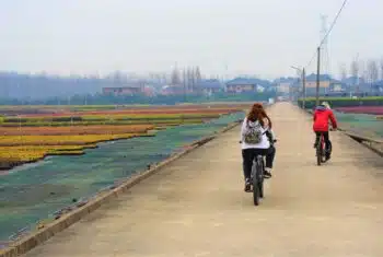 managing stress levels as a teacher in China