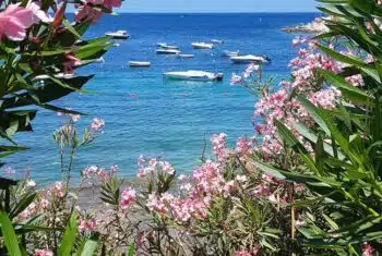 Coastal view of Malta