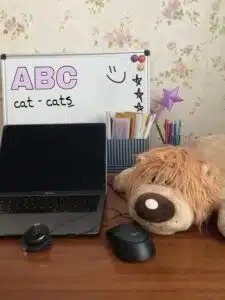 Yulia online setup