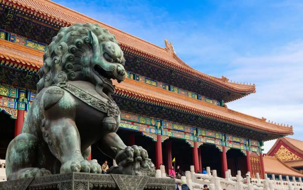 language schools vs public schools in china