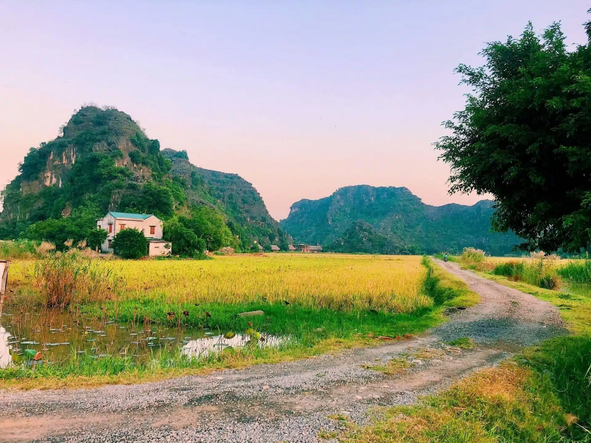 A traditional house in Vietnam