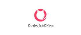 Recruiter