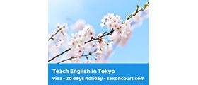Teach adults and kids in Tokyo | 6 weeks leave
