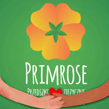 Preschool Teacher of English