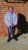 50x50 IMG 20210315 WA0007