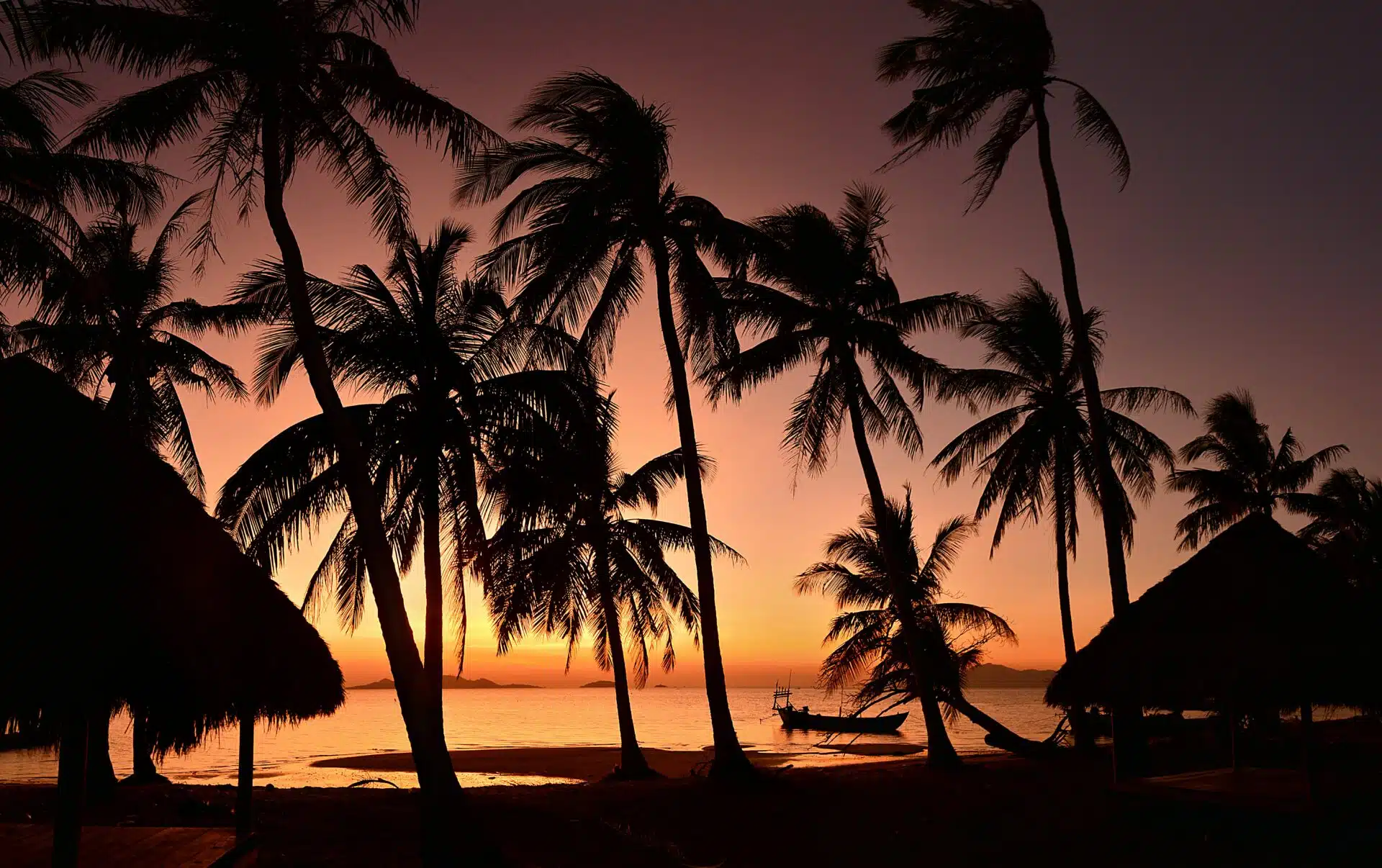 Palm trees on the beach at one of the most popular TEFL destinations